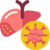 liver cancer icon