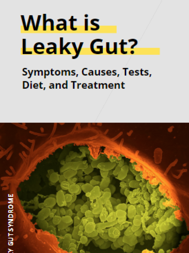 What is Leaky Gut ?