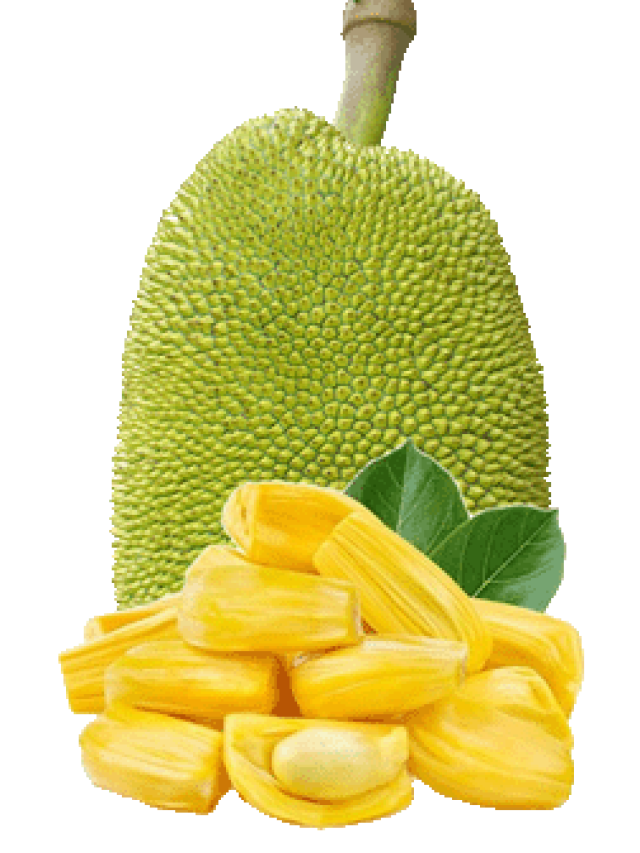 Nutritional Power of Jackfruit: A Guide to Its Health Benefits