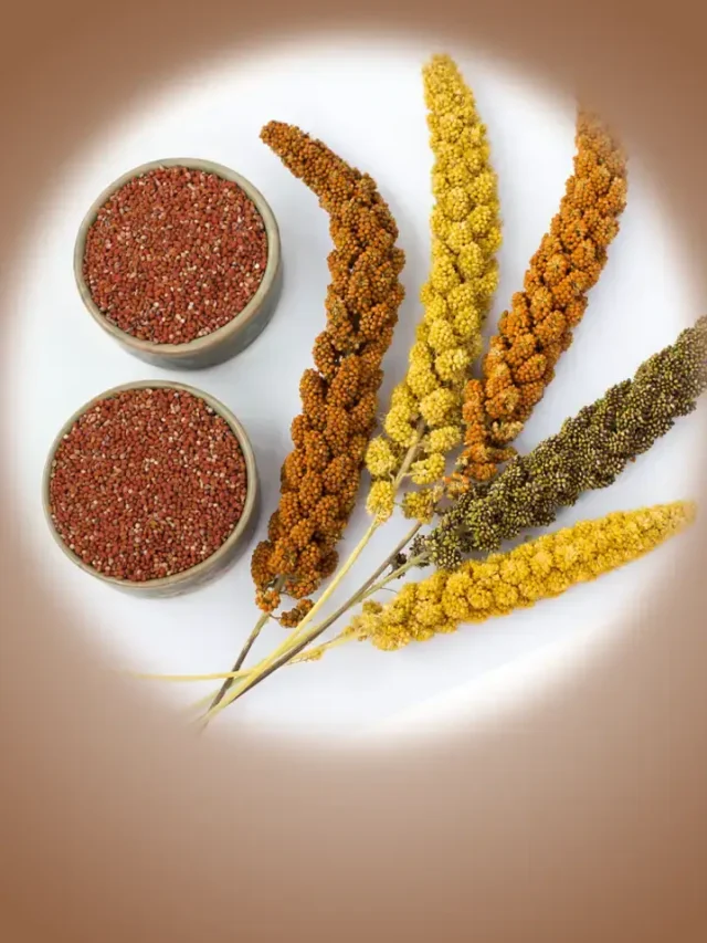 5 Incredible Benefits Of Adding Ragi To Your Diet